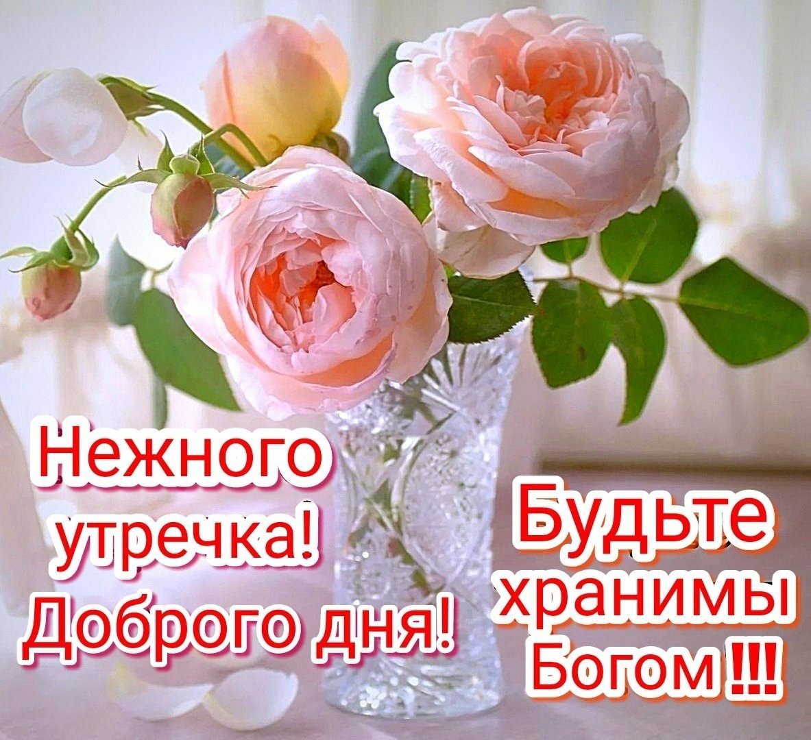 Доброе утро и отличного настроения