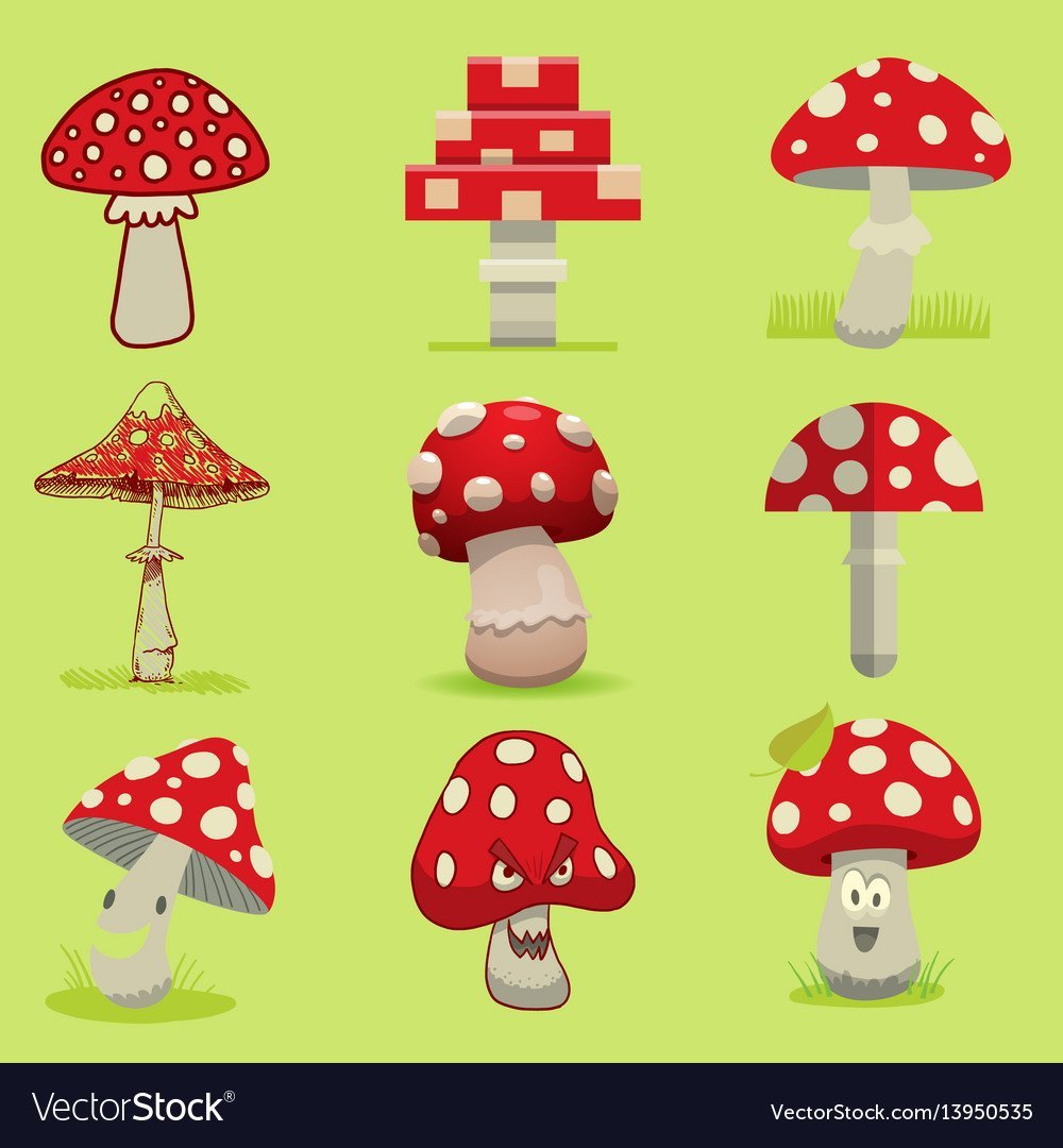 Аппликация ядовитые грибы