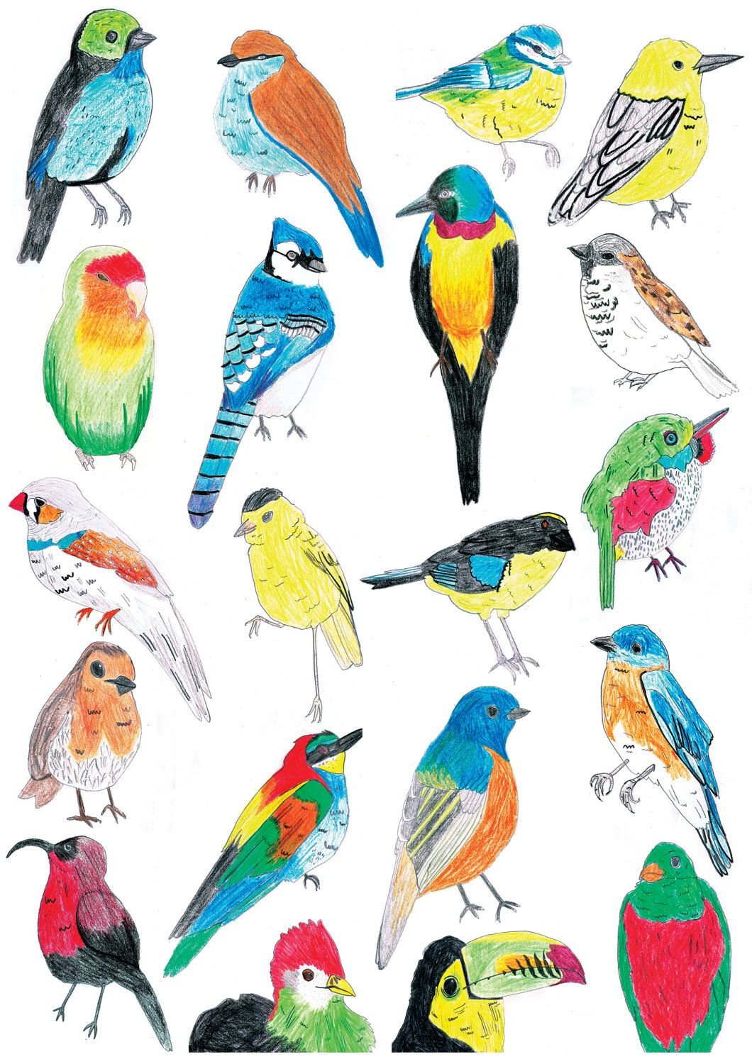 Цветные птички для распечатывания