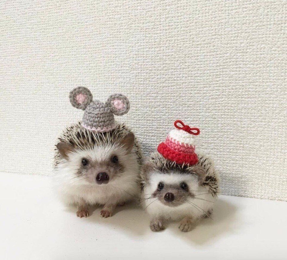 Жизнь прекрасна приколы