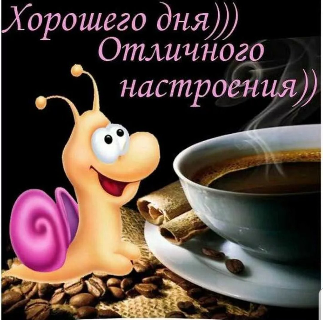 Пользуясь случаем передаю привет всем кто ещё без привета