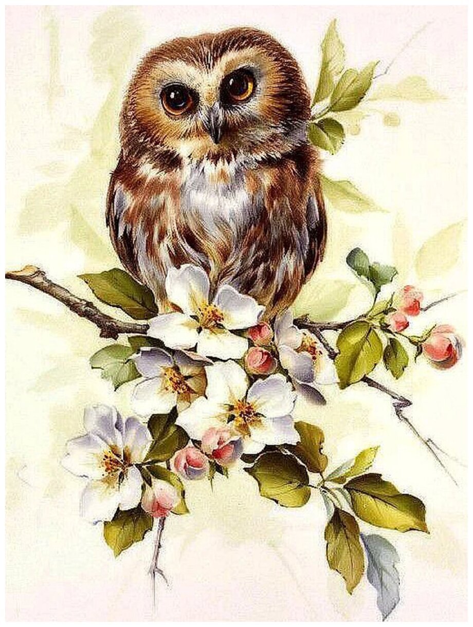 Картина Сова на ветке