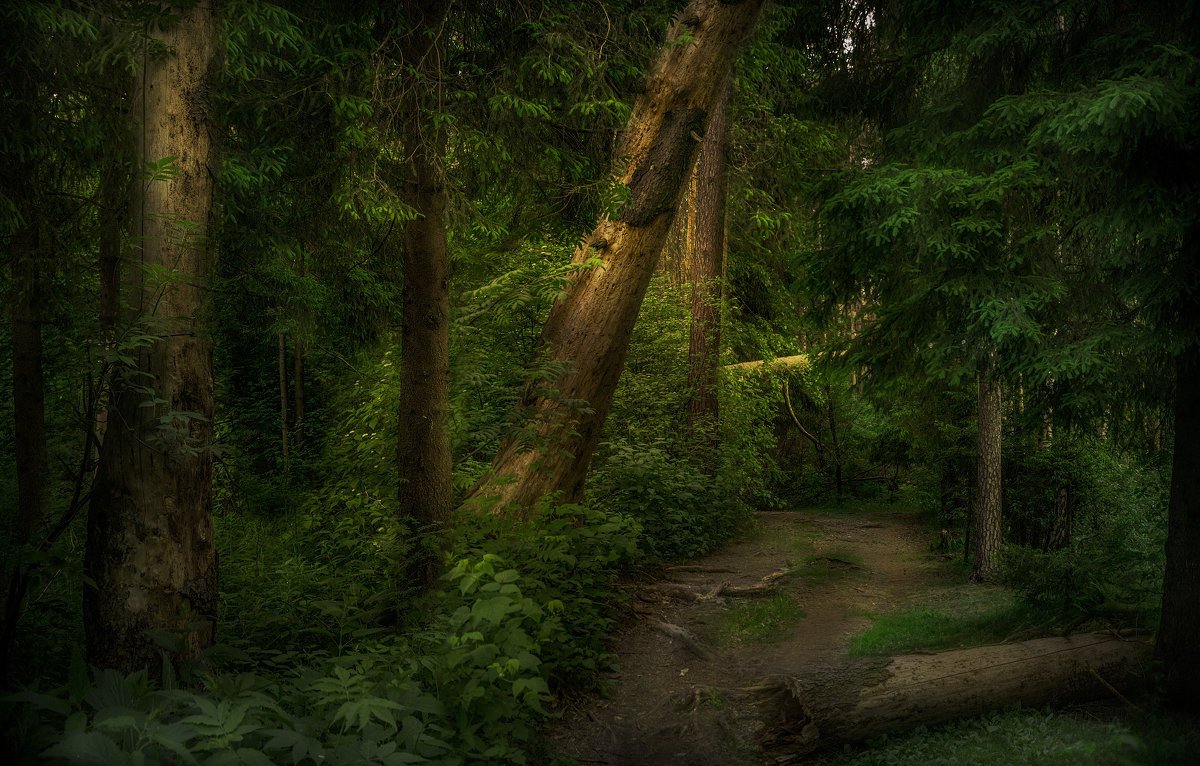 Дремучий лес Карамзина