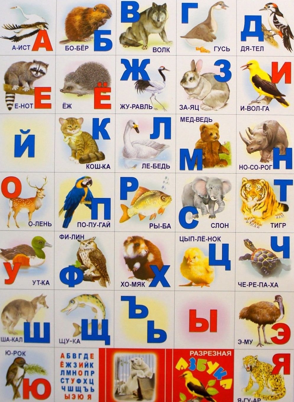 Азбука и животные