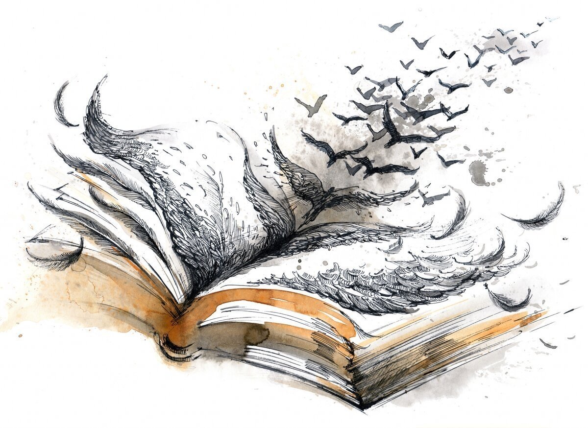 Литература иллюстрации