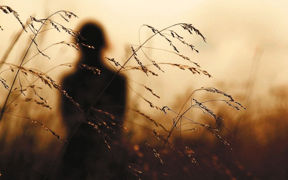 Брошенный мишка