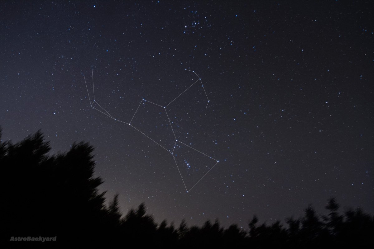 Созвездие Ориона на небе