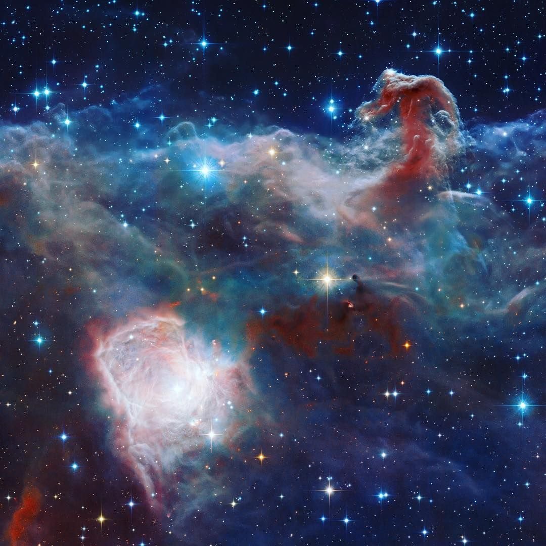 Туманность конская голова в созвездии Ориона