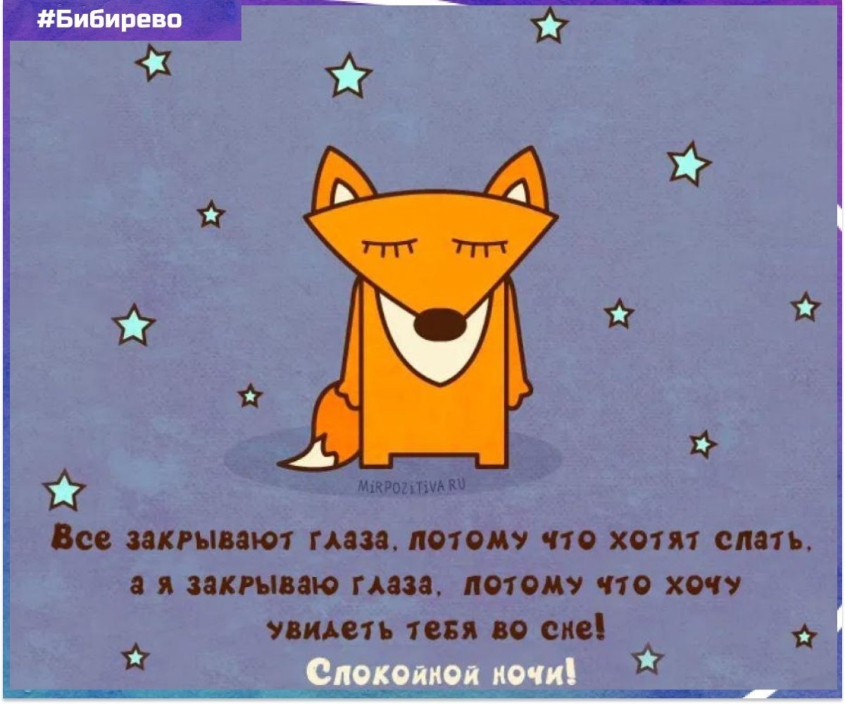 Прикольные пожелания спокойной ночи