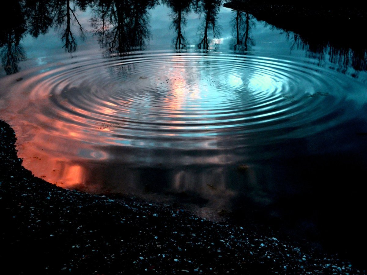 Круги на воде озеро