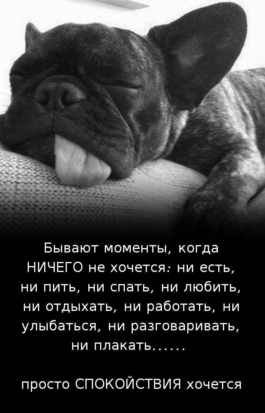 Когда ничего не хочется цитаты
