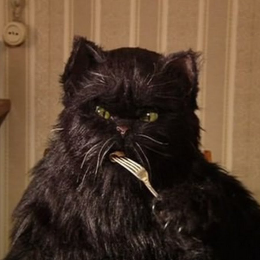 Новый кот в музее Булгакова