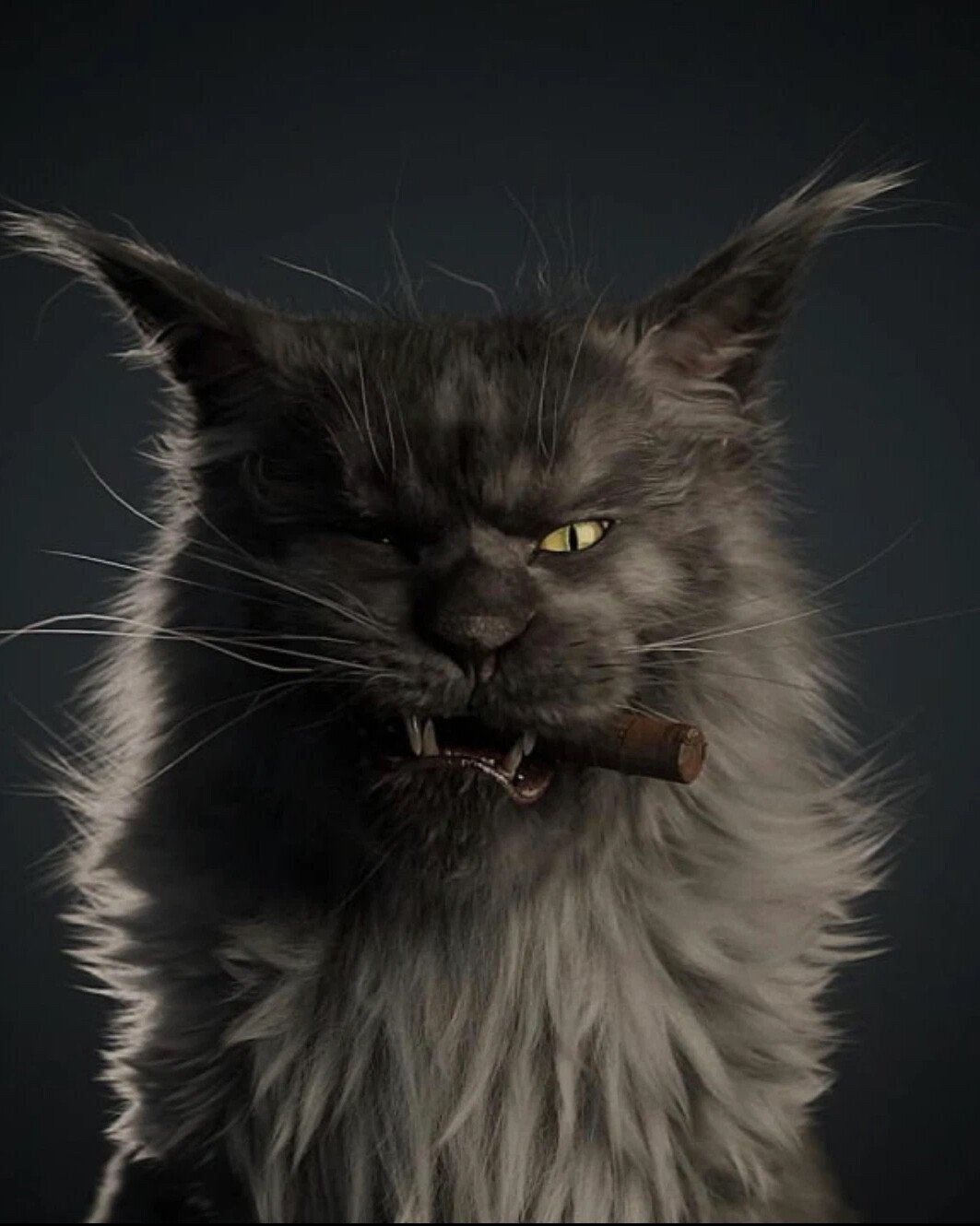 Мастер и Маргарита сериал 2005 кот