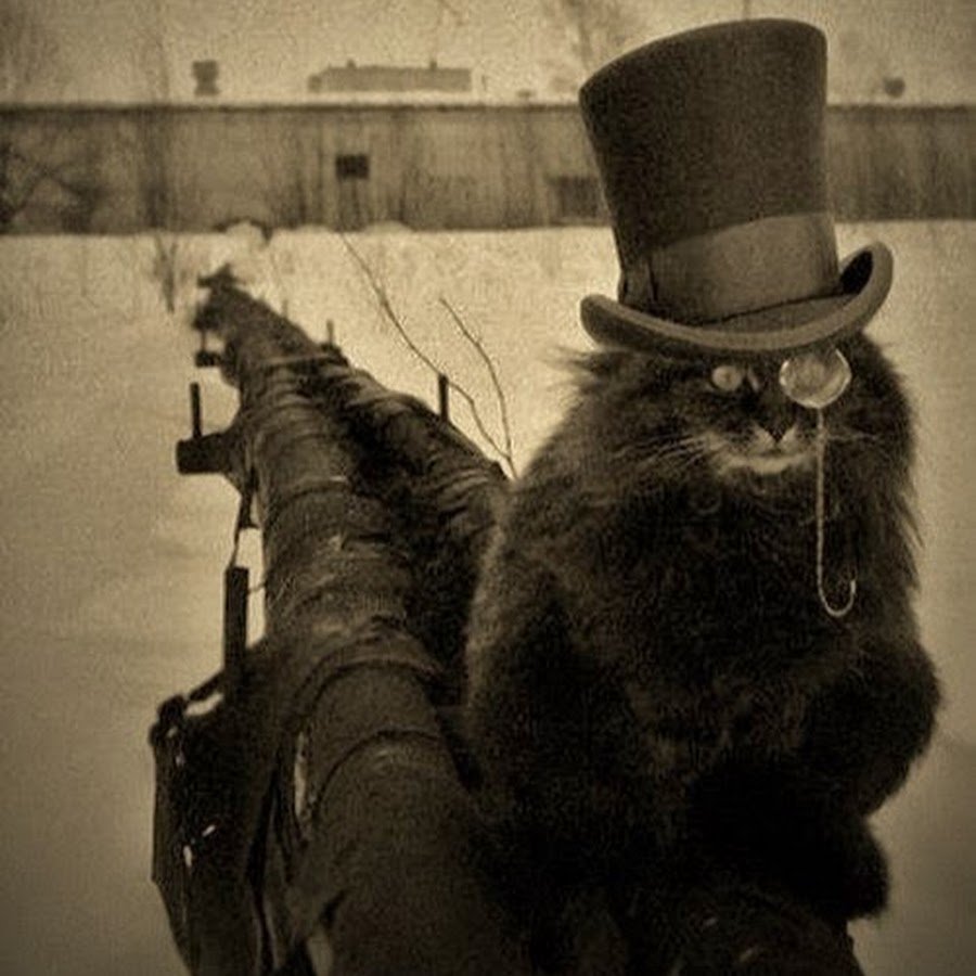 Фильм мастер и Маргарита кот