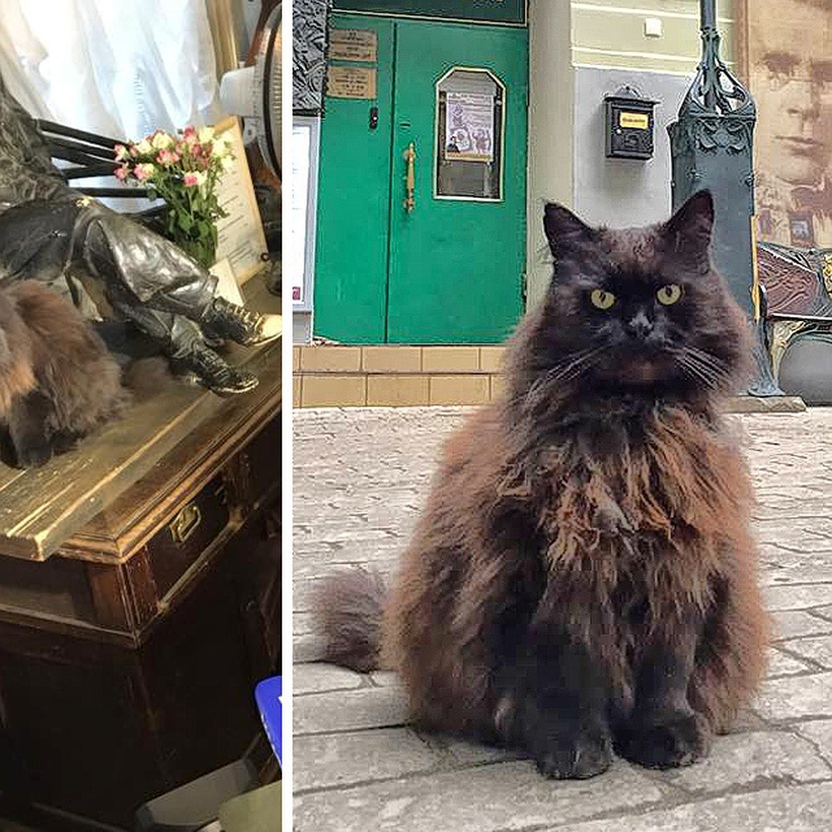 Кот Бегемот из мастера и Маргариты