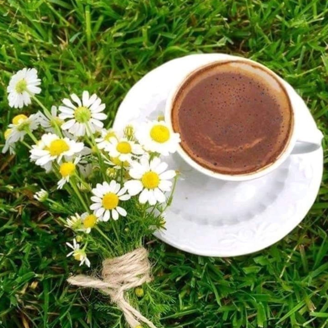 Чашка кофе и ромашки