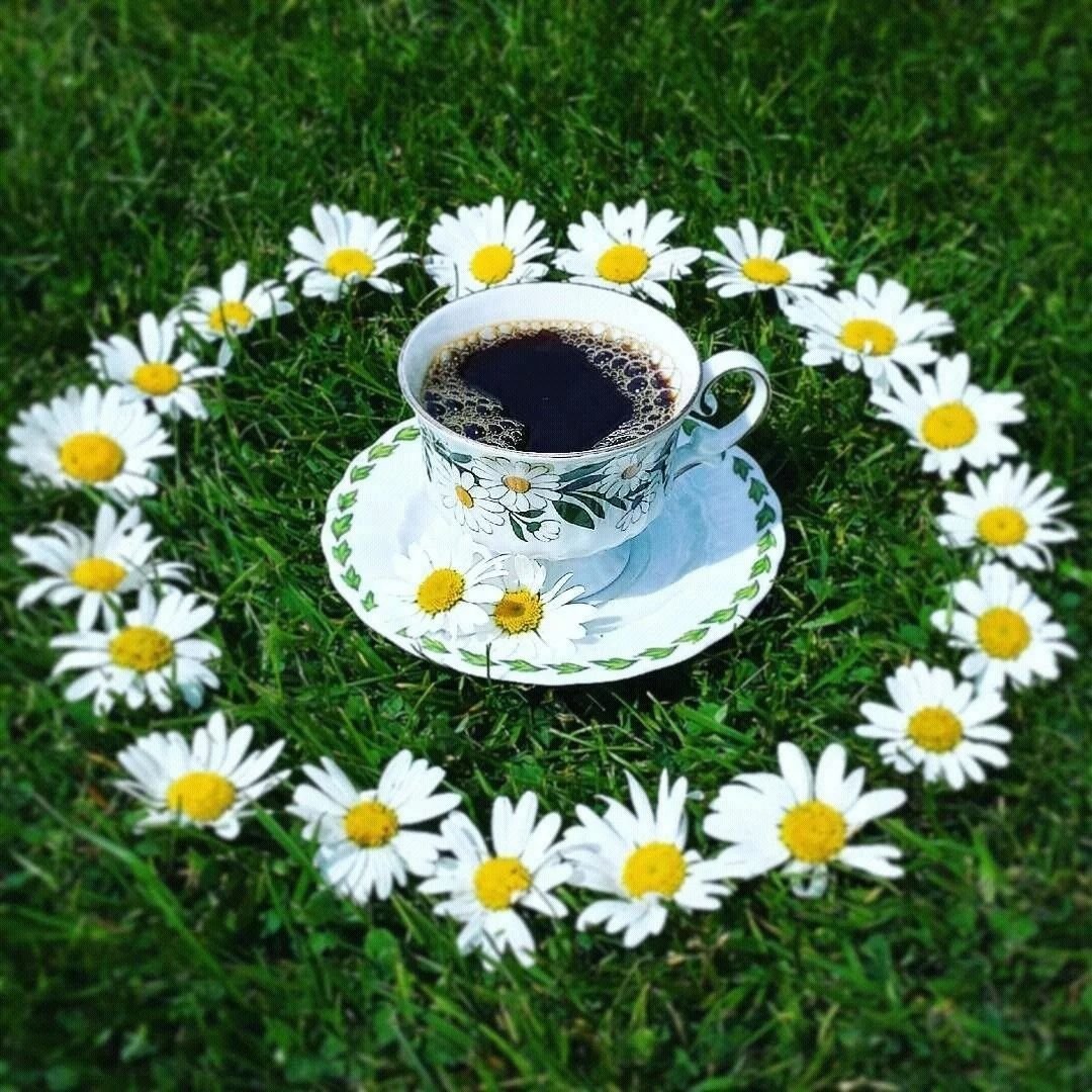 Доброе утро Эстетика