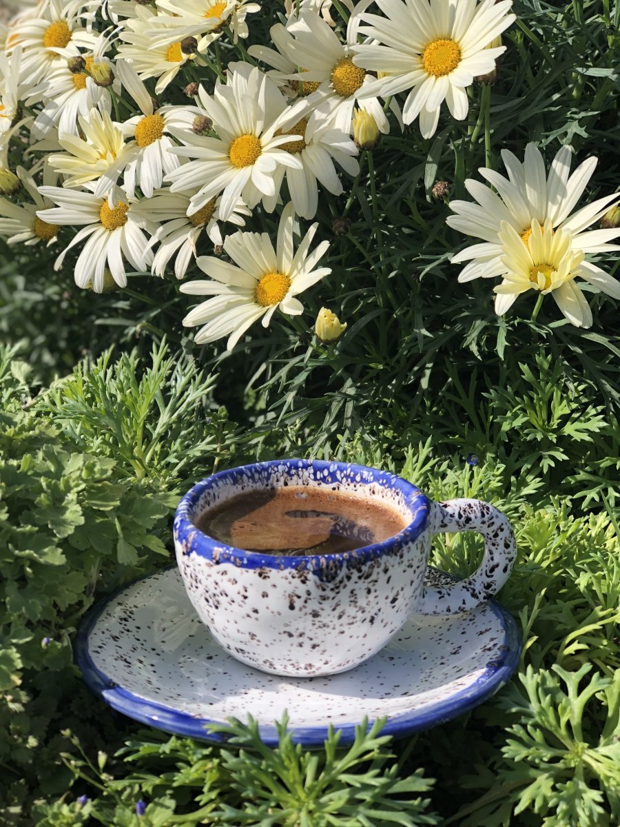 Цветы и завтрак в постель