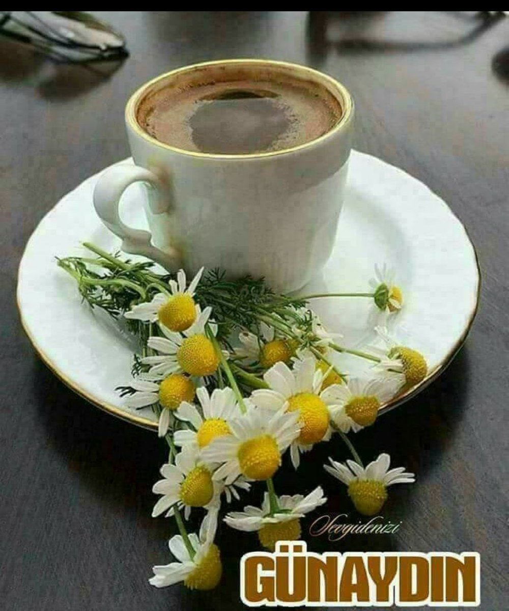 Чашка кофе и ромашки