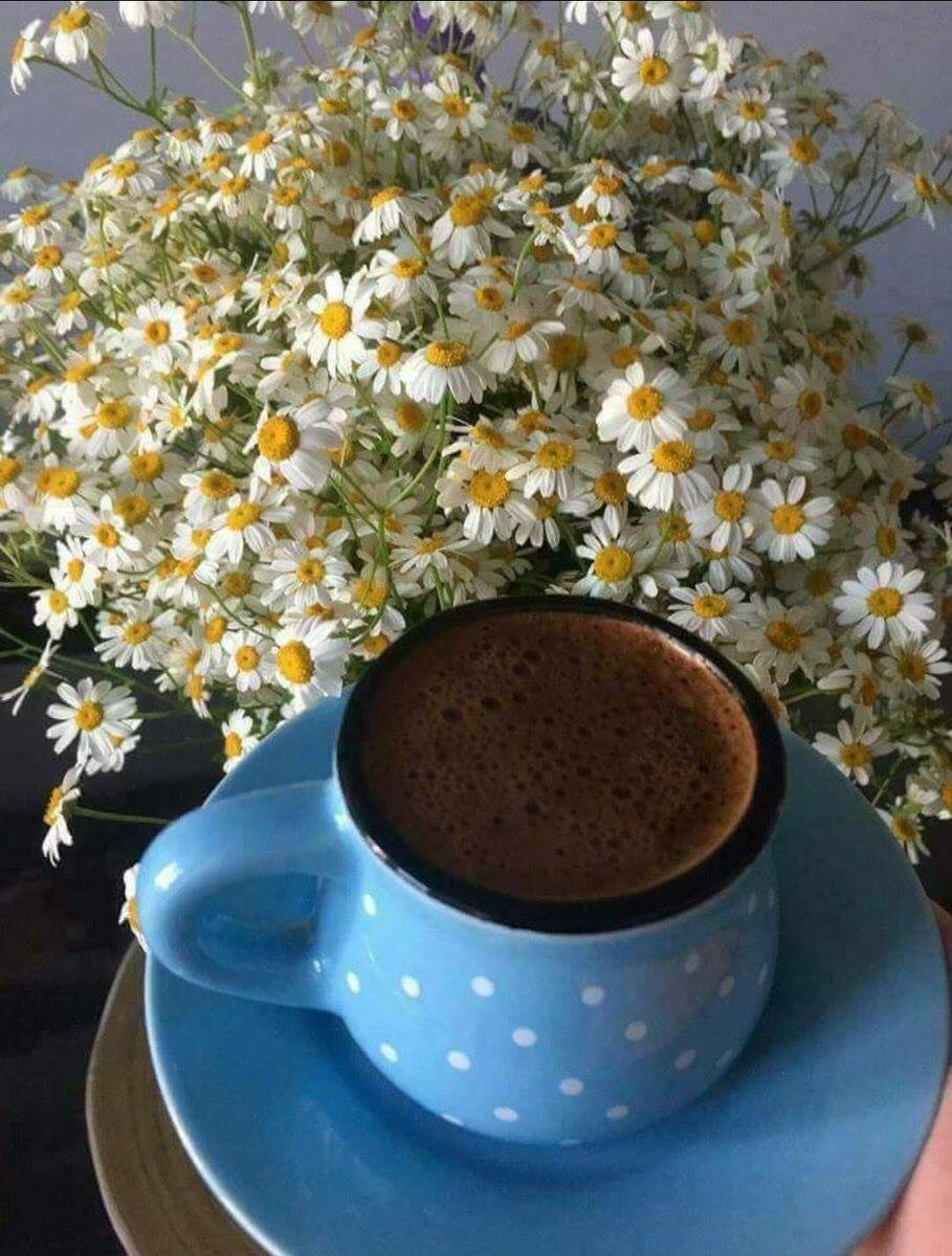 Ромашки и кофе