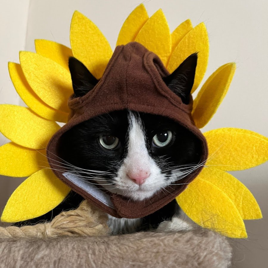 Фиолетовое пламя