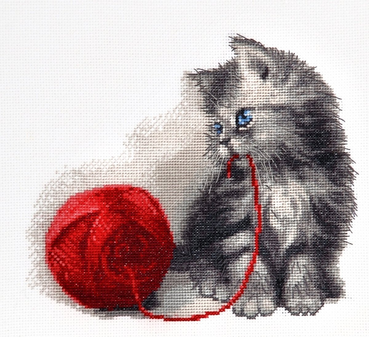 Вышивка кот