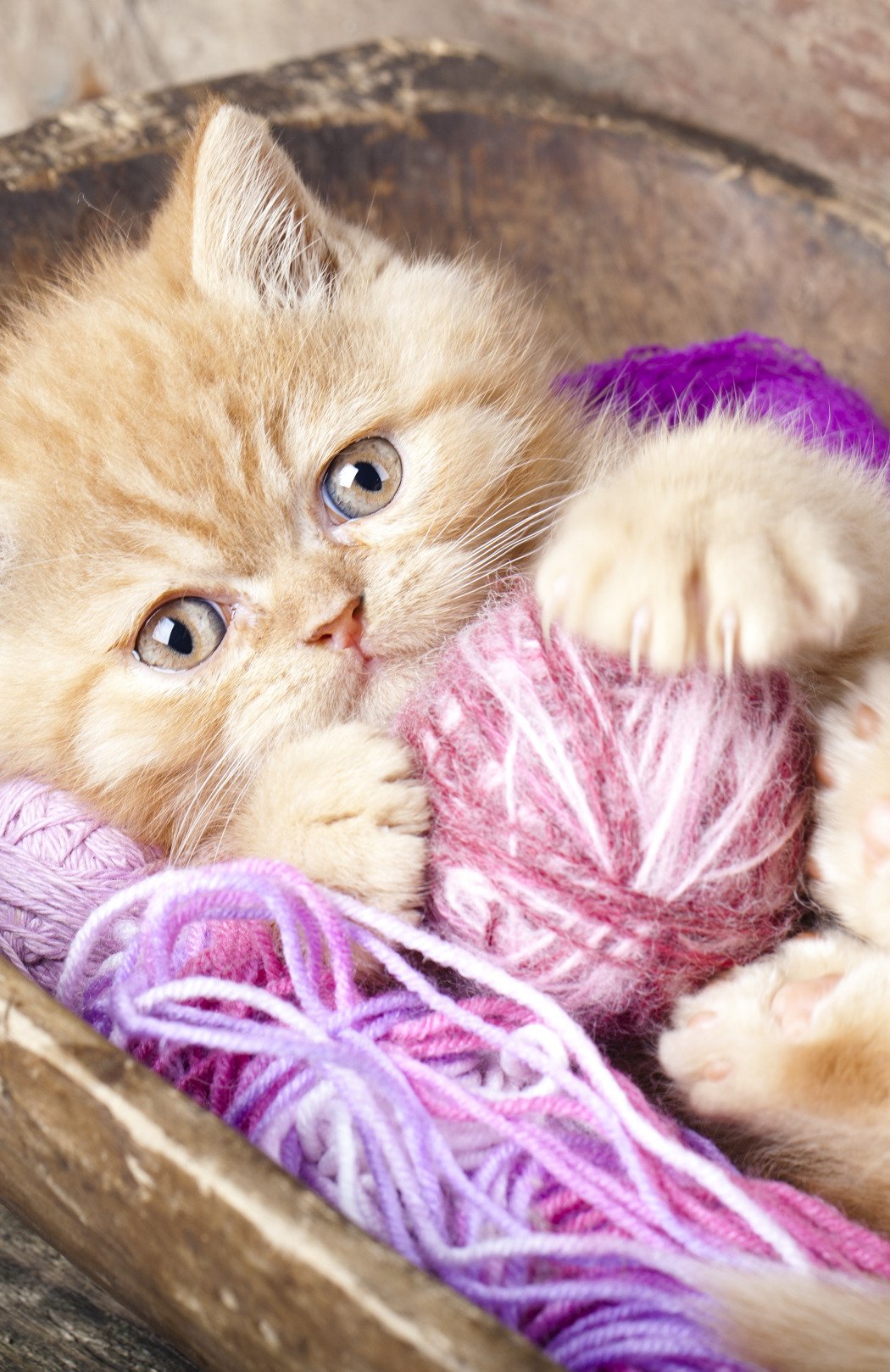 Котенок с клубочком