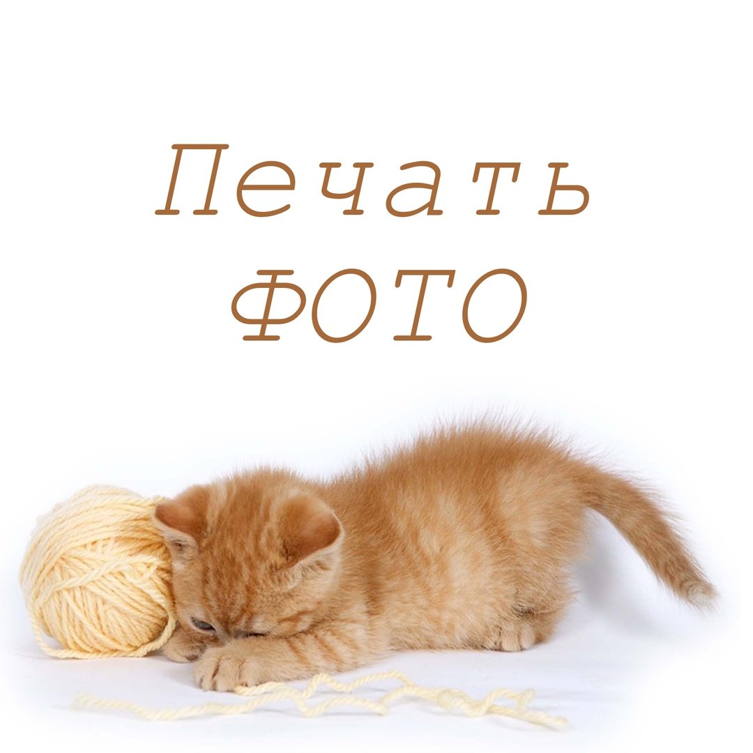 Котенок с клубочком