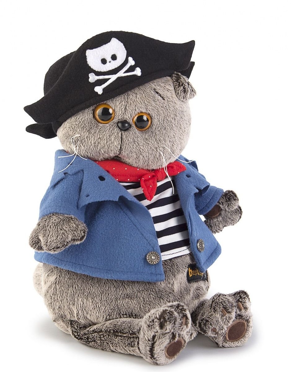 Кот Басик пират