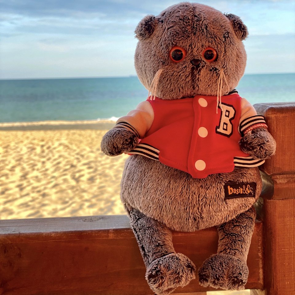 Басики на море