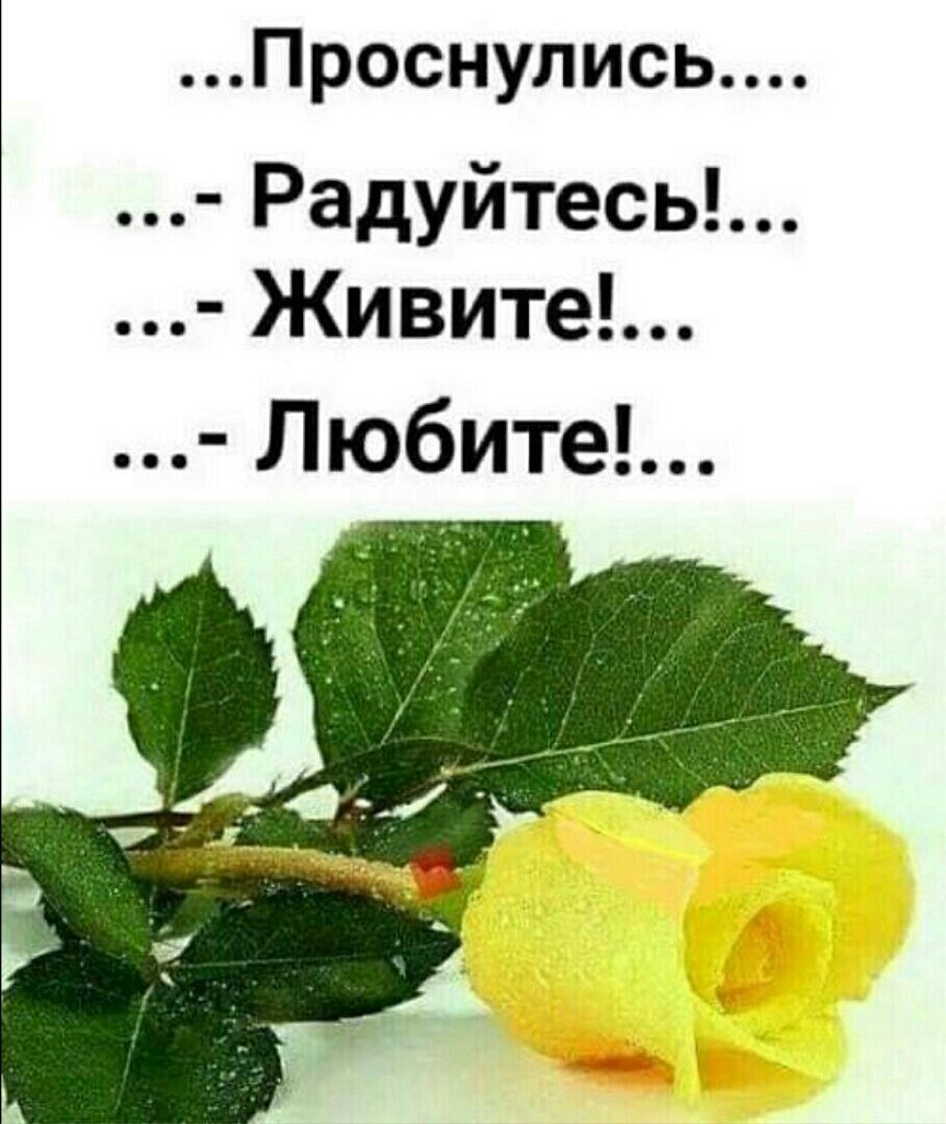 Открытка радуйтесь каждому Дню