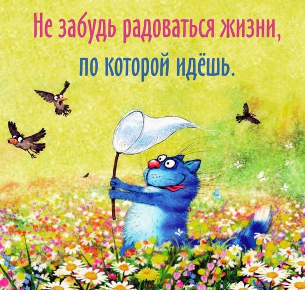 Радость жизни цитаты