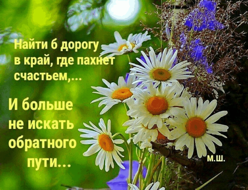 Весна радость счастье