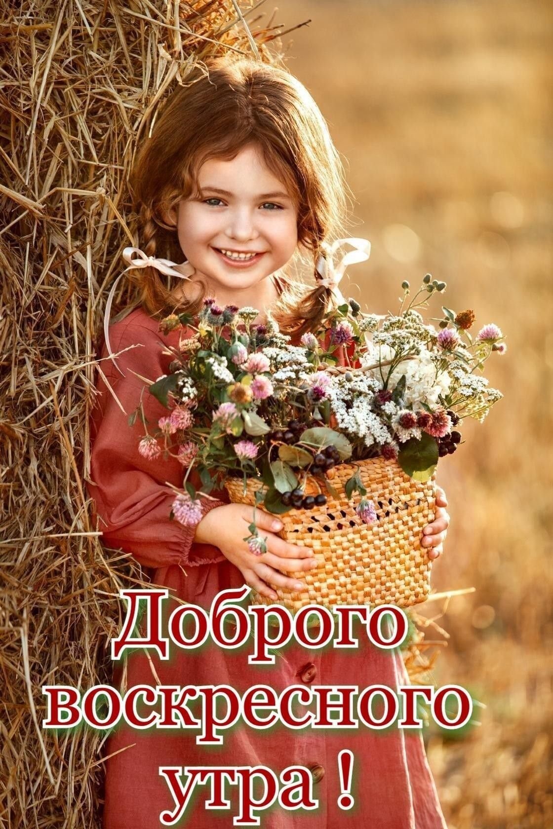 Радость новому Дню