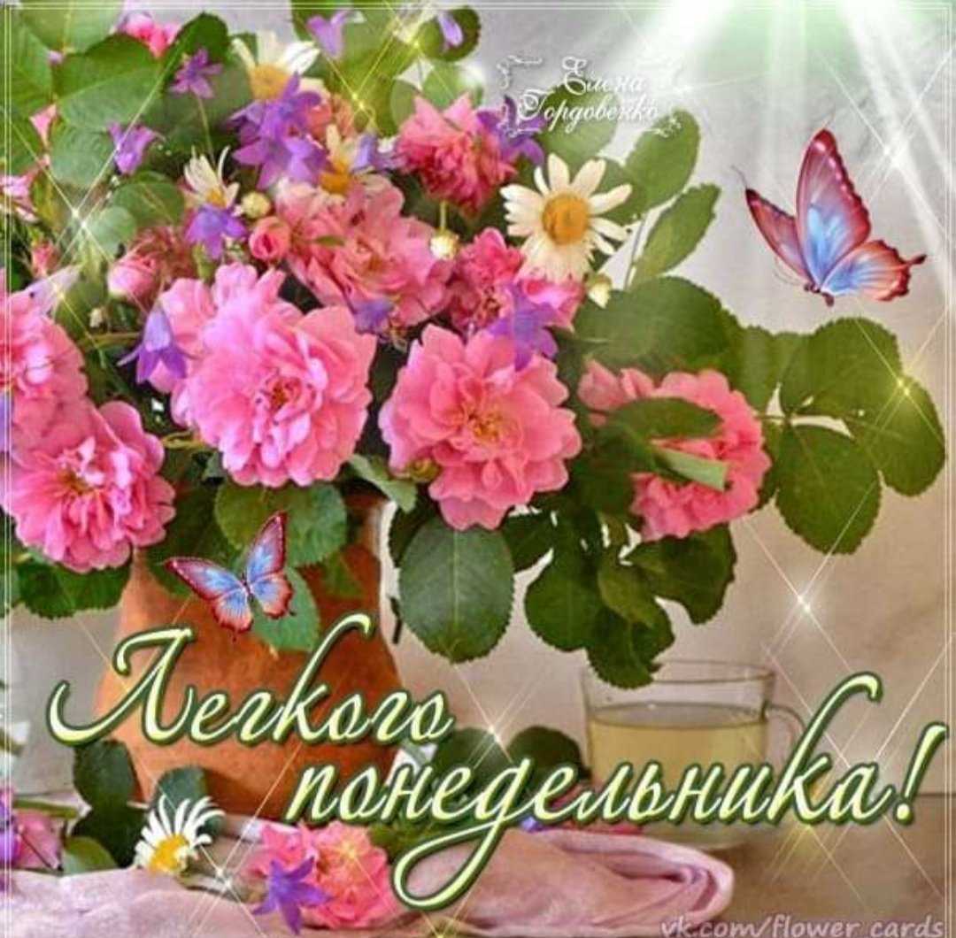 Цветы понедельник.