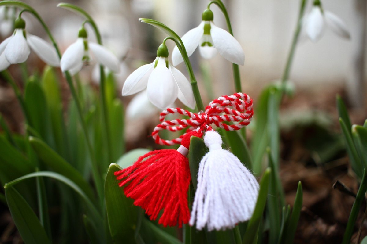 Мэрцишор в Молдавии