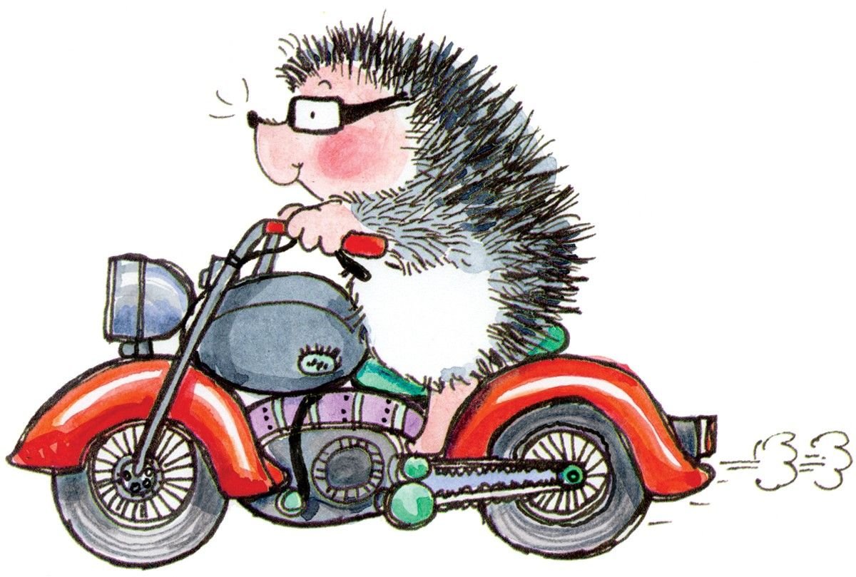 Детская животные на велосипедах