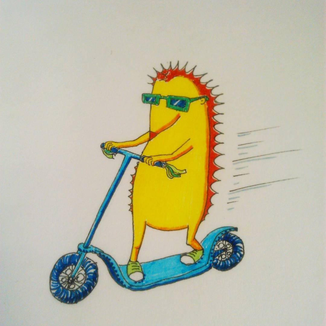 Енот на велосипеде