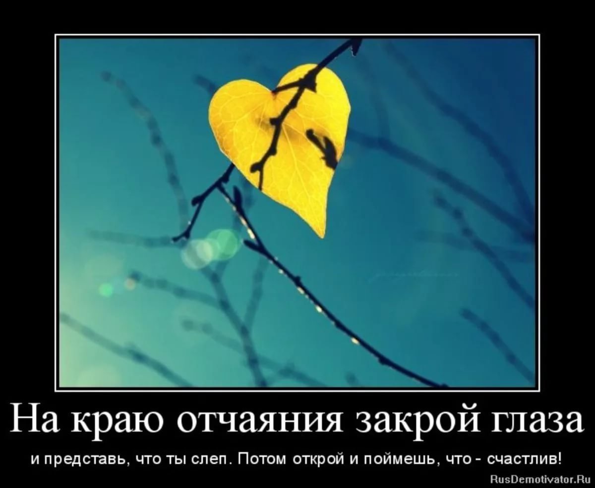 Философские высказывания позитивные