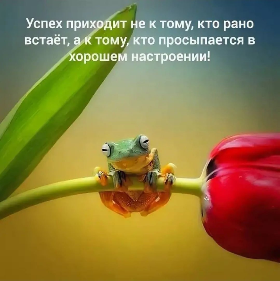 Цитаты про жизнь позитивные