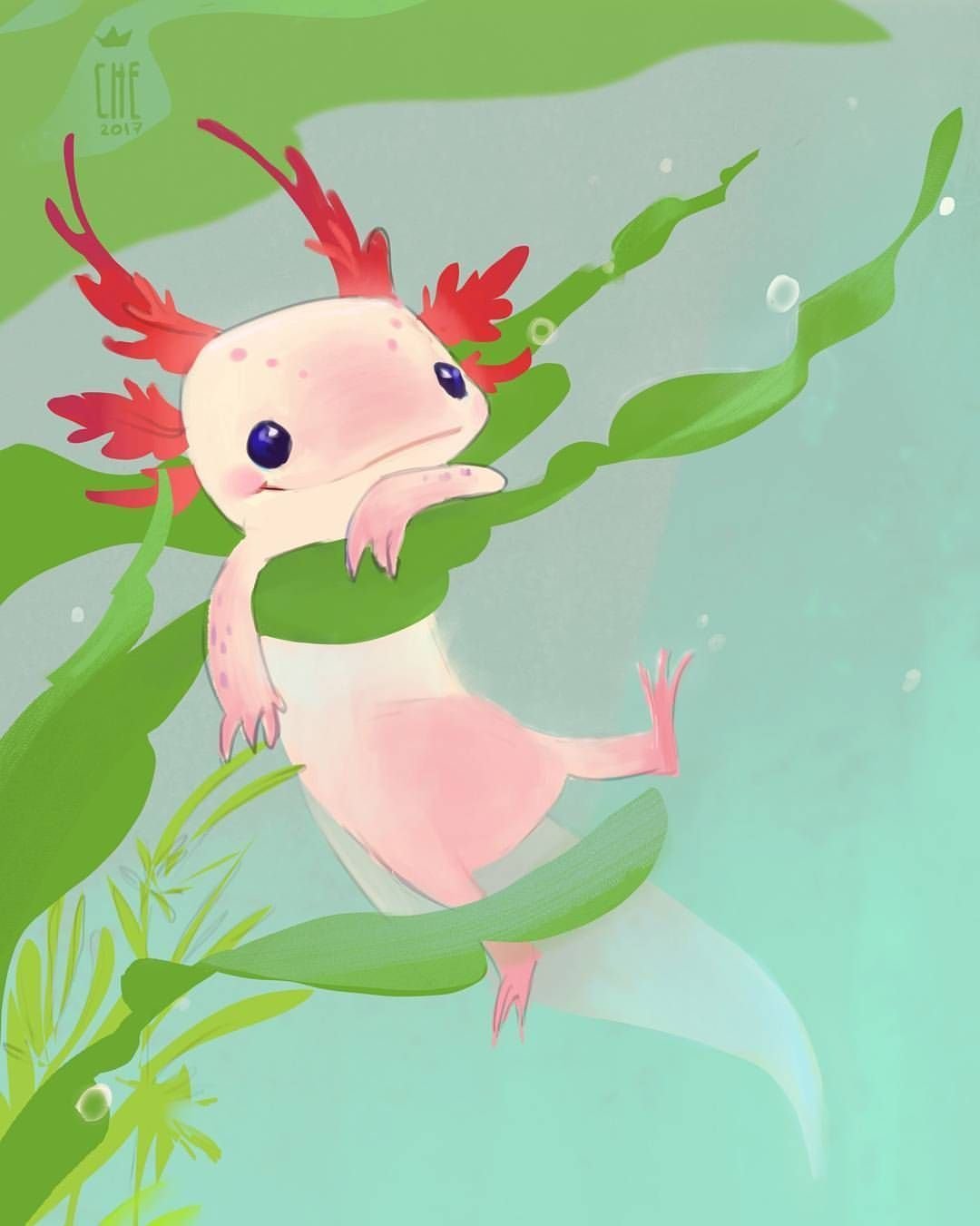 Аксолотль ящерица