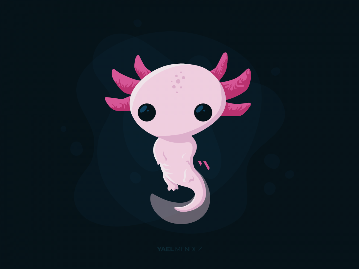 Ава аксолотль аниме