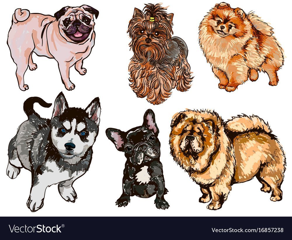 Собаки разных пород рисунки