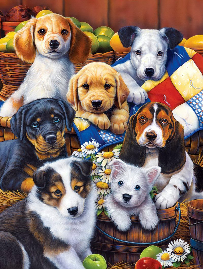 Дженни Ньюленд