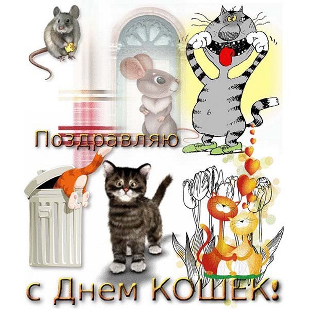 день котов и кошек