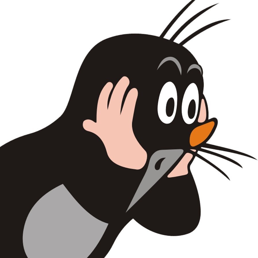 Крот землеройка слепыш