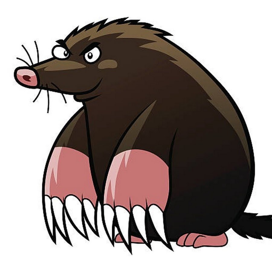 Крот картинка животного