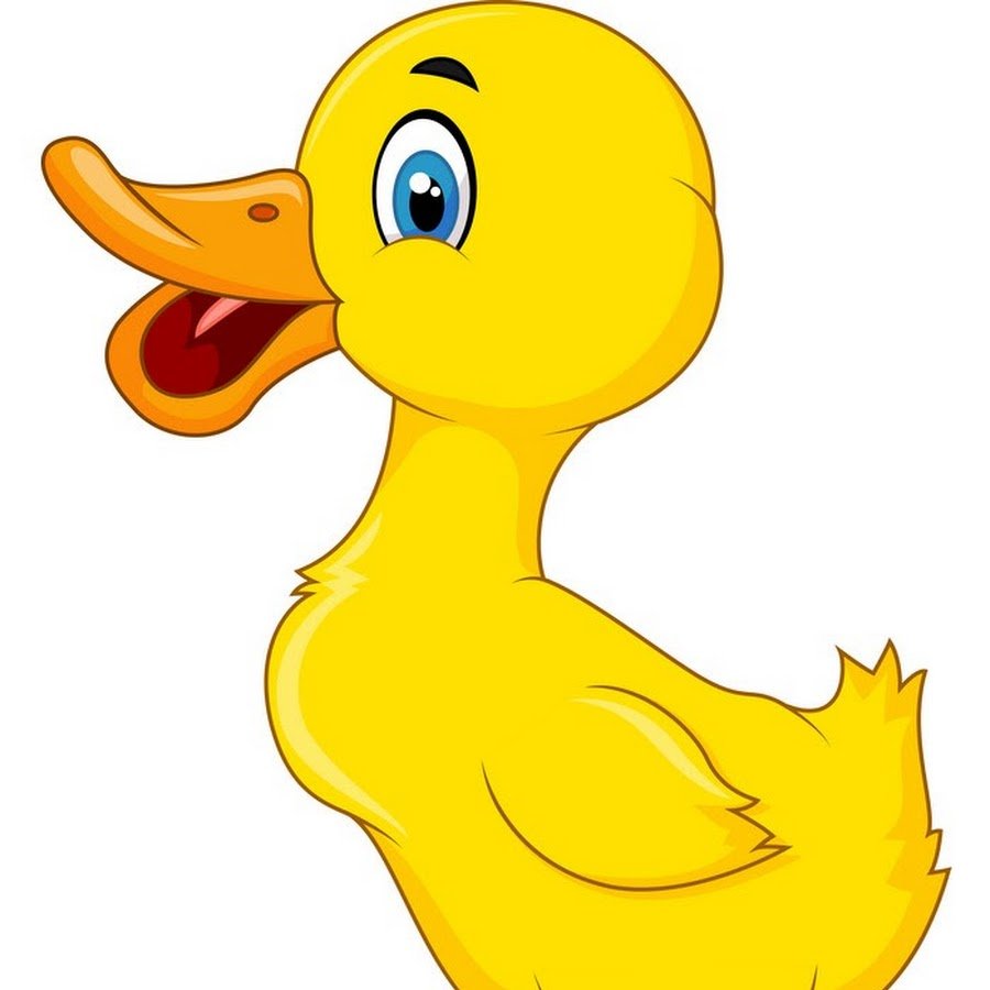 Утенок на белом фоне для детей