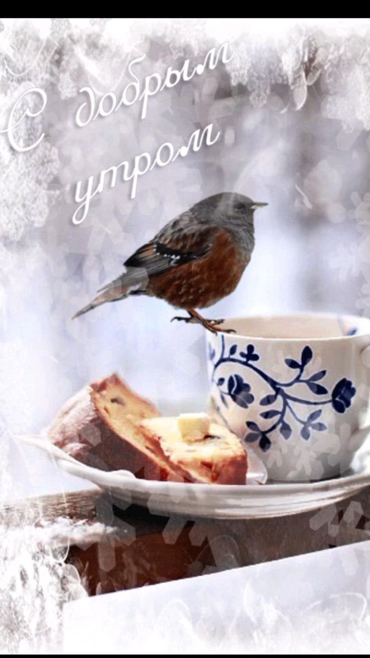 Доброе зимнее утро