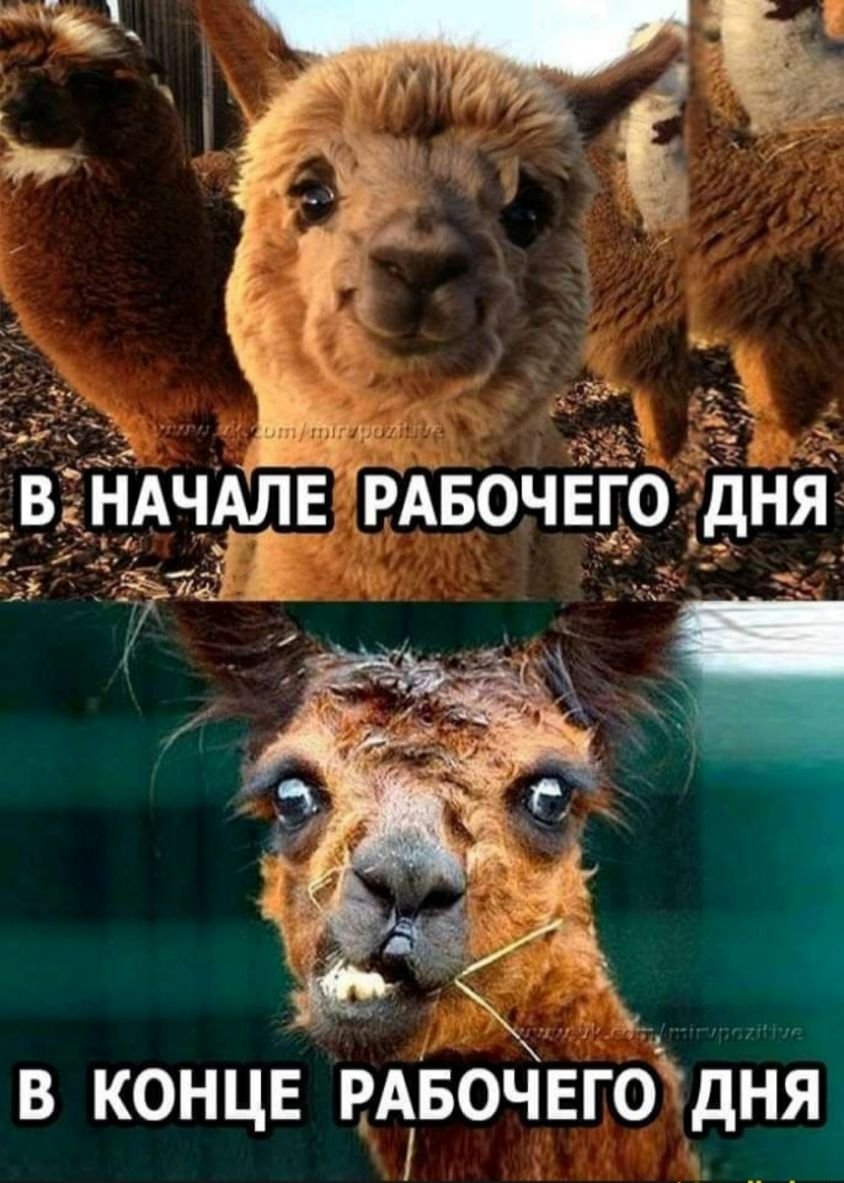 Конец рабочего дня приколы